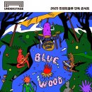 블루25(Blue 25) 이미지