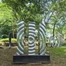 소용석 꿈의대화 이미지