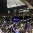 스카이파트너스 | [도쿄] 시부야스카이 - 야경 맛집 예약 및 내돈내산 후기!!