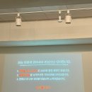 설레임 | 내돈내산 서울 솔로파티 외모승인제 설레임파티 리얼 후기