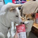 헤모랩