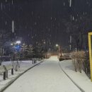 원통 중앙공원 이미지