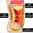 바디엔지니어 이미지