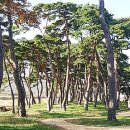 용반마을 이미지