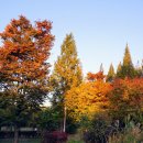 부평공원 이미지