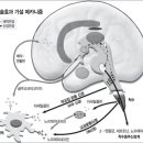 66- 침의 과학적 효과와 체질개선의 관계- 1 이미지