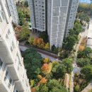 수원-0078 이미지