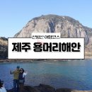하늘6(유채밭) | 제주 용머리해안 입장시간 물때 | 서귀포 산방산 유채꽃 명소 여행코스