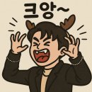 태양체육관 | 2025 교토대작전 원정락페 후기 🌄 - 다시 또 태양이 떠오르는 언덕으로