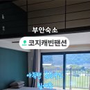 코지캐빈 펜션 이미지