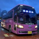 일지매 여행사 이미지