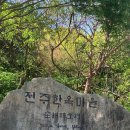 대성동공영주차장 이미지