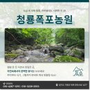 숲속이야기민박 이미지