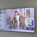 광진구 한강우성아파트 101동 85인치 TV 선정리 시공 후기 + 기가지니·셋탑박스 2대 정리