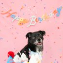 해피몽스데이 이미지