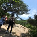 몽스김밥 이미지