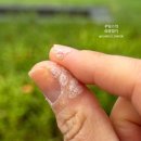 봄봄피부과의원 이미지