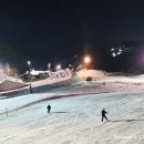 (주)그린아쿠아펫 | 평창 휘닉스파크 그린동 스위트펫룸 내돈내산 솔직 후기