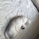 양산성모안과의원 네이버블로그