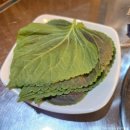 맛사랑 쭈꾸미 | [까치산] 까치산역 맛집 쭈꾸미 맛사랑쭈꾸미 내돈내산