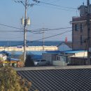 천진공인중개사 사무소 이미지