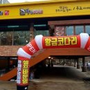 황금코다리 건너편 이미지