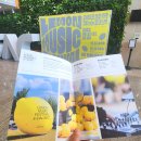 웃는얼굴 아트센터 | ✅✅대구 6월 행사⭐야외에서 즐긴 달서 웃는얼굴아트센터 레몬뮤직페스티벌/ 감성주말