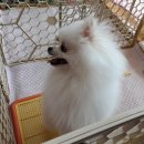 호텔루이 이미지