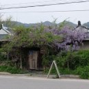 별과달민박 이미지