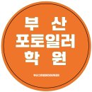 하이뚱딴지