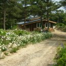 황토방 펜션 이미지