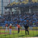 태평파크 이미지