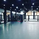 팀크러쉬주짓수