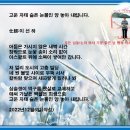 고운 자태 슬픈 눈물인 양 놓아 내립니다. 이미지