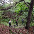 갑산2리 이미지