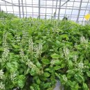 경재농장 이미지