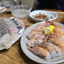 우정김밥 | 제주도 서귀포 올레시장 회 맛집 우정회센타 고등어회 딱새우회 내돈내산 후기 !