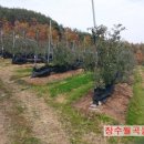 월곡농원 - 가평군 손일로 169 | 월곡농원