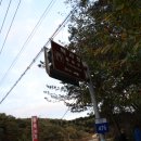 대강면 석촌마을 | 『20251101~02_단양 역사탐방 1박 2일』