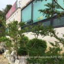 농부애뜰 | 농부애뜰 외식 후기
