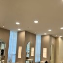 빈센트 헤어 이미지