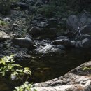 원탕민박 이미지