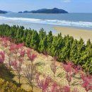 무안황토갯벌랜드 이미지