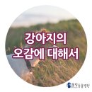 서창사랑동물병원 이미지