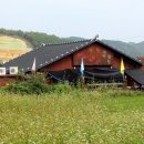 코스모스와 메밀가든 이미지