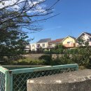 쿠우쿠우푸드 주식회사 | ✈️일본워킹홀리데이 51일차요-!