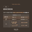 술리스 | 은평구 1인 세신샵 술리스(Sullis) 솔직 이용 후기