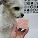 버디메디칼 이미지