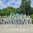 앳모스피어 | (신혼여행) 몰디브 라야바이앳모스피어 솔직한 후기 3편 - 올인클루시브 레스토랑 후기