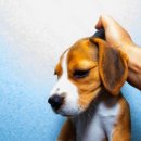 하루언니 이미지